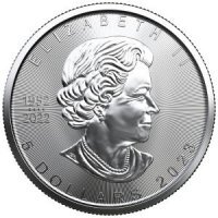 100 szt x Srebrna moneta  Liść Klonu (Maple Leaf)  1 oz  2022