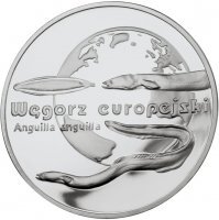 20 zł 2003  Zwierzęta Świata - Węgorz Europejski