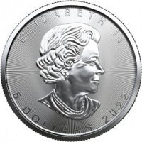 25 szt x Srebrna moneta  Liść Klonu (Maple Leaf)  1 oz  2022