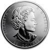 Srebrna moneta  Kanada ,  Magnificent Maple Leaves  10 oz 2021