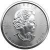 Srebrna moneta  Liść Klonu   (Maple Leaf)1 oz  2023 (Złocony)