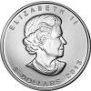 Srebrna moneta  Liść Klonu   (Maple Leaf)  25 - lecie      1 oz   2013 r