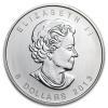 Srebrna moneta  Niedźwiedź polarny, Kanada   1,5  oz  2013 (milk spot)
