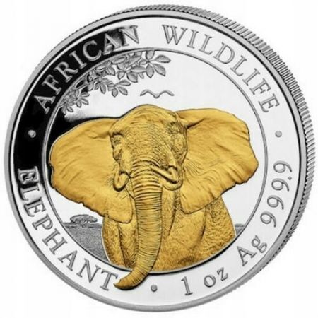 Srebrna moneta  African Wildlife : Słoń  Somalijski 2021 (złocona)