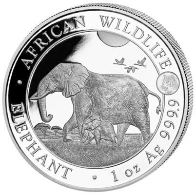 Srebrna moneta  African Wildlife : Słoń  Somalijski 2022 (PRIVY TIGER) - milk spot