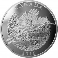 Srebrna moneta Kanada , Żuraw Krzykliwy 1/2  kg  2015 PROOF