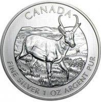 Srebrna moneta Kanadyjska Antylopa  1 oz   2013 r (patyna)