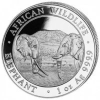 Srebrna moneta  Słoń  Somalia  / Somalia Elephant  1 oz  2020 r