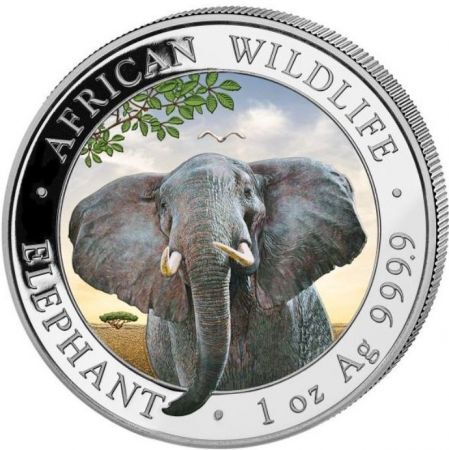 Srebrna moneta Słoń  Somalijski  1 oz 2021 (kolor)