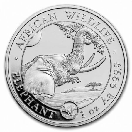 Srebrna moneta  Słoń  Somalijski 1 oz 2023 Privy Rabbit