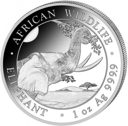 Srebrna moneta  Słoń  Somalijski 1 oz 2023