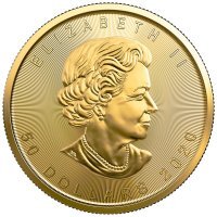Złota moneta  Kanadyjski Liść Klonu  (Maple Leaf )  1 oz