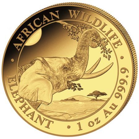 Złota moneta Somalijski Słoń  1 oz . 2023